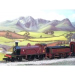 HORNBY 4-2-2 DCC Fitted 'The Last Single Wheeler' Limited Edition Locomotive